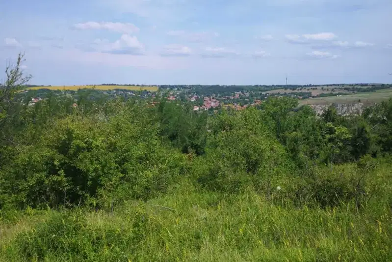 Парцел в Русе, Басарбово