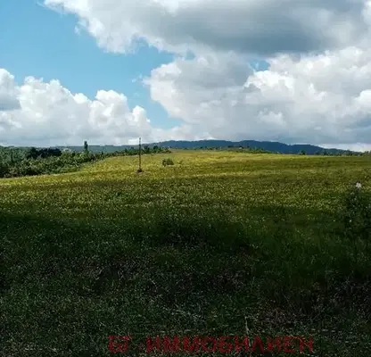 Photo 2 — Plot in Sofiya, Gorna Banya