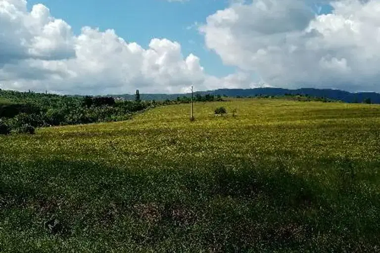 Парцел в София, Горна баня