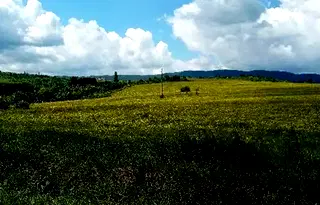 Парцел в София, Горна баня