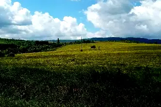 Парцел в София, Горна баня