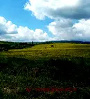 Парцел в София, Горна баня