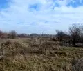 Снимка 4 — Парцел във Враца, Хранително-вкусова зона