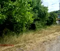 Снимка 2 — Парцел в Перник, Калкас