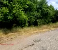 Снимка 3 — Парцел в Перник, Калкас