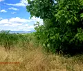 Снимка 4 — Парцел в Перник, Калкас