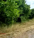 Парцел в Перник, Калкас