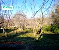 Снимка 5 — Парцел във Варна, м-т Боровец - север