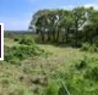 Photo 3 — Plot in Varna, Borovec - Yug