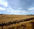 Снимка 3 — Парцел във Варна, м-т Добрева чешма