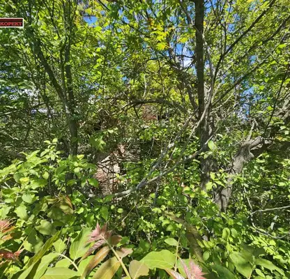 Photo 3 — Plot in Pleven, Strajata