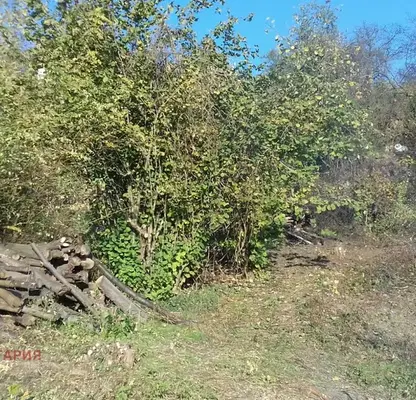 Снимка 4 — Парцел във Варна, м-т Сълзица