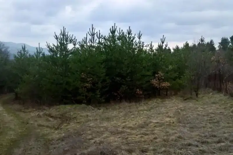 Парцел в София, м-т яз. Искър