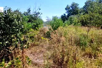 Парцел в Русе, Средна кула