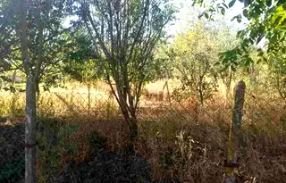 Парцел в Русе, в.з. Левента
