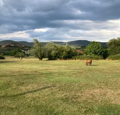 Photo 2 — Plot in Oblast Blagoevgrad, Gyrmen