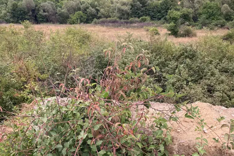 Парцел в Благоевград, с. Огняново
