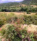 Парцел в Благоевград, с. Огняново