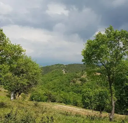 Снимка 4 — Парцел в Благоевград, с. Струмяни