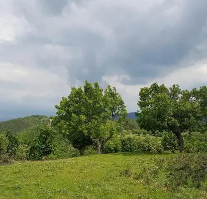Снимка 5 — Парцел в Благоевград, с. Струмяни