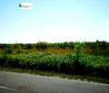 Снимка 2 — Парцел в Бургас, Ахтопол