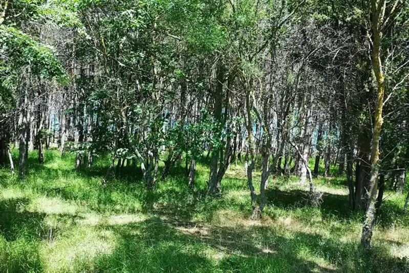 Парцел в Бургас, Ахтопол