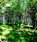 Парцел в Бургас, Ахтопол