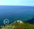 Снимка 5 — Парцел в Бургас, с. Емона