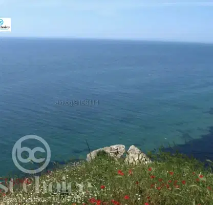 Photo 5 — Plot in Oblast Burgas, Emona