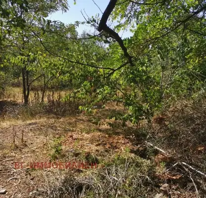 Photo 5 — Plot in Burgas, Kamenar