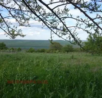 Photo 5 — Plot in Oblast Burgas, Panicovo