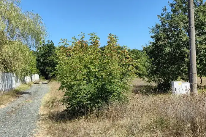 Plot in Oblast Burgas, Velika