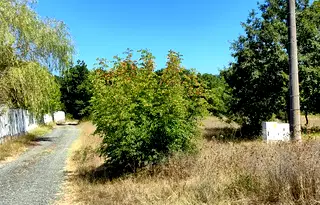 Парцел в Бургас, с. Велика