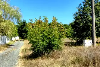 Парцел в Бургас, с. Велика