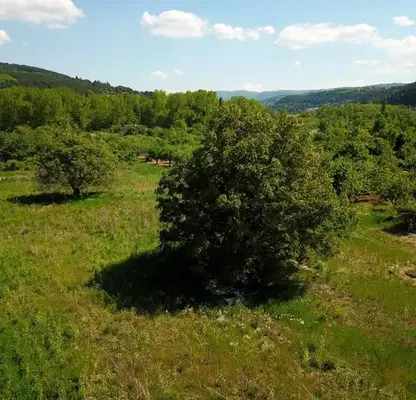 Photo 2 — Plot in Oblast Dobrich, Bojurec