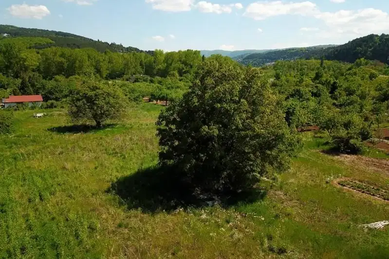 Парцел в Добрич, с. Божурец