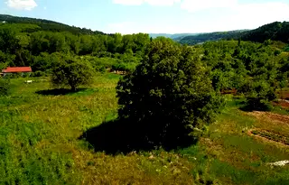 Парцел в Добрич, с. Божурец