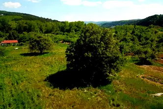 Парцел в Добрич, с. Божурец