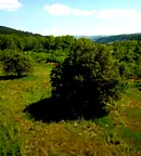 Парцел в Добрич, с. Божурец