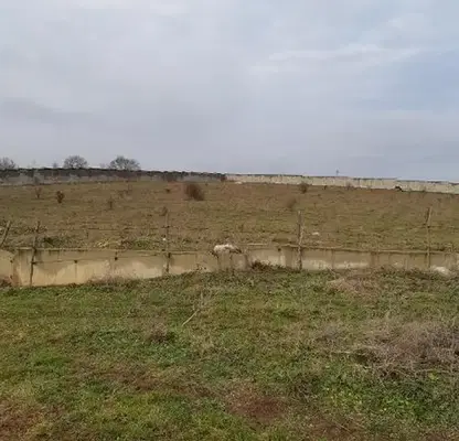 Photo 3 — Plot in Oblast Haskovo, Krepost