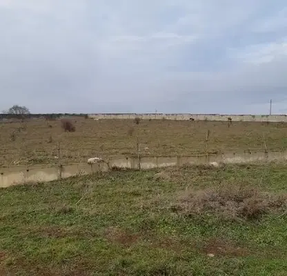 Photo 4 — Plot in Oblast Haskovo, Krepost