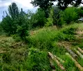 Снимка 2 — Парцел в Ловеч, с. Орешак