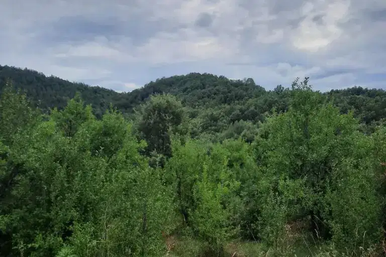Plot in Oblast Lovech, Oreshak