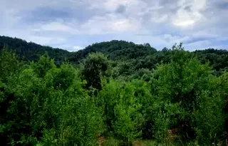 Парцел в Ловеч, с. Орешак