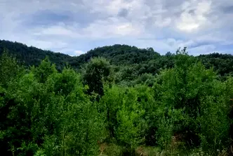 Парцел в Ловеч, с. Орешак