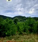 Парцел в Ловеч, с. Орешак