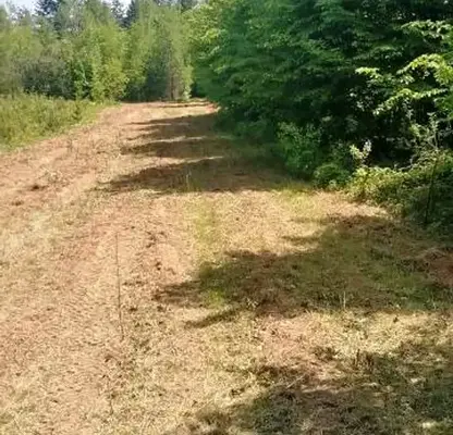 Снимка 2 — Парцел в Монтана, Вършец