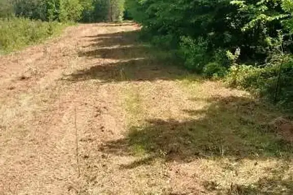 Парцел в Монтана, Вършец