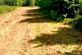 Парцел в Монтана, Вършец