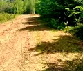 Снимка 2 — Парцел в Монтана, с. Спанчевци